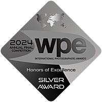 WPE Silver Badge Annual Final 2024 Fine Art Nude
